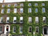 GeorgianHouse.jpg