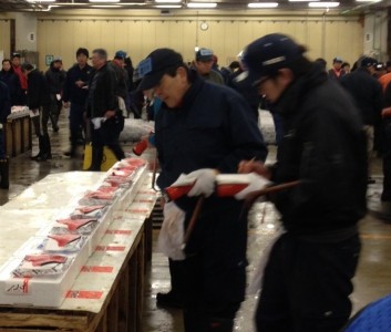 Closely inspecting sushi