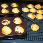 Chocolate chip muffins