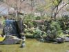 garden in Gifu park