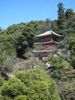 pagoda at Gifu park