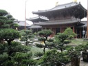 Chi Lin Nunnery