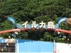 dolphin island