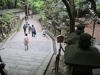 walk to Kasuga grand shrine