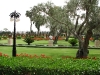 gardens around Baha'u'llah's shrine