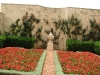 roses creeping up the walls