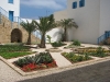 garden recreated at House of Abdu'llah Parsha