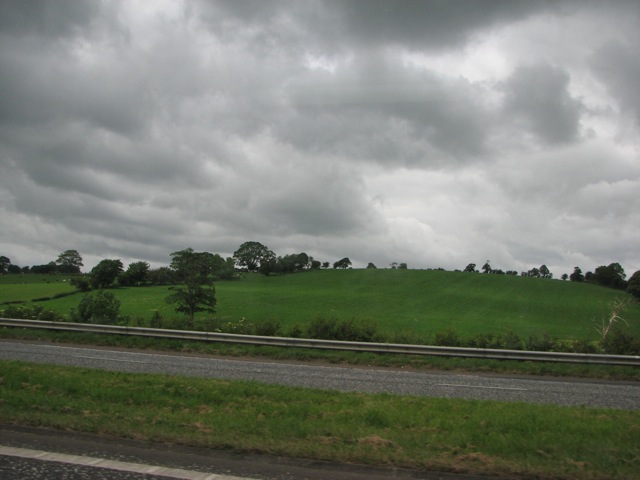 Irish Pasture from Bus from Belfast to Dublin