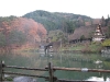 fall-scene-hida-folk-museum