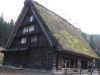 grass-house-1