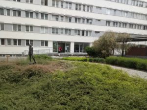 Rehabilitace Budějovická