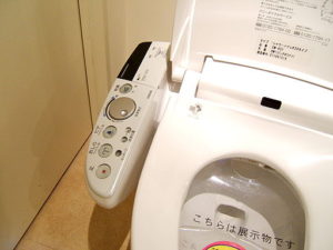Japanese toilet with instructions in Japanese