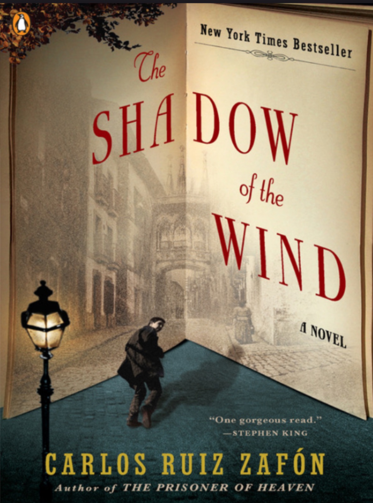 Shadow Of The Wind Chapter Summary Book Review - The Shadow of the Wind - experiences and reflections
