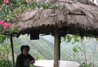 dami sitting at the viewpoint